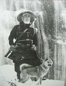 origine du shiba inu